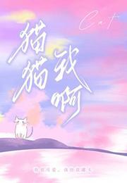 猫猫猫猫这是一首什么歌