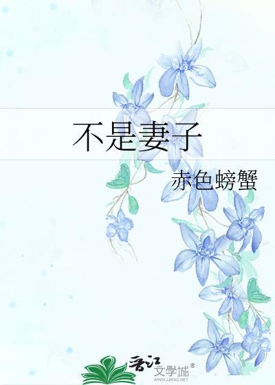 不是谁的妻不是谁的媳
