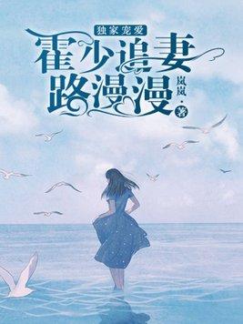 独家宠爱霍少追妻路漫漫 岚岚