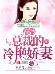 高冷总裁小娇妻免费