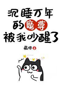 我把魔头哔哔醒了免费