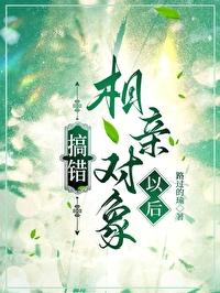 搞错相亲对象言情