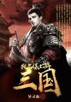 极品三国游戏