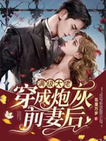 满级大佬穿成炮灰前妻后免费阅读