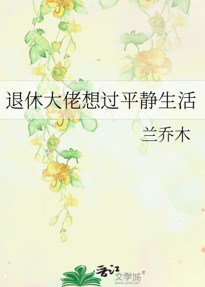 退休的大佬