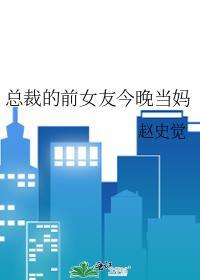 总裁的前女友今晚当妈 赵史觉 笔趣阁