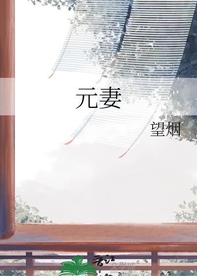 元妻TXT