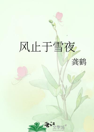 风止于雪夜by龚鹤免费阅读
