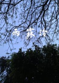 雨霖婞女主