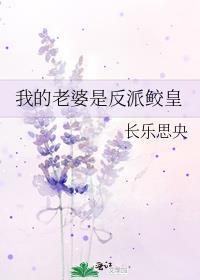 我的老婆是反派 范dd
