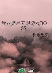我老婆是无限游戏BOSS番外全