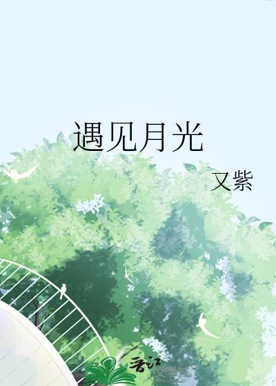 与月光相遇作文