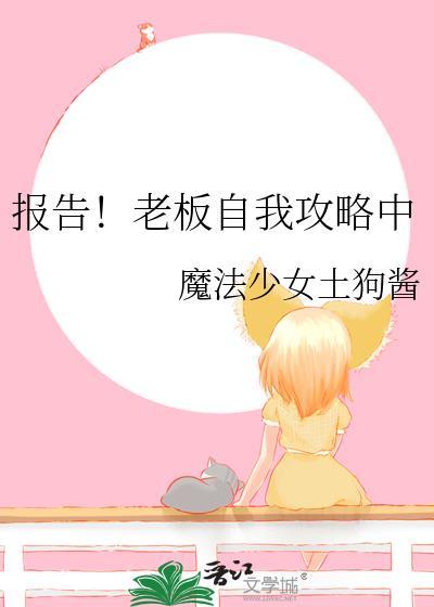 报告老板2