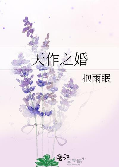 天作之婚txt