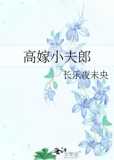 高嫁小夫郎番外百度