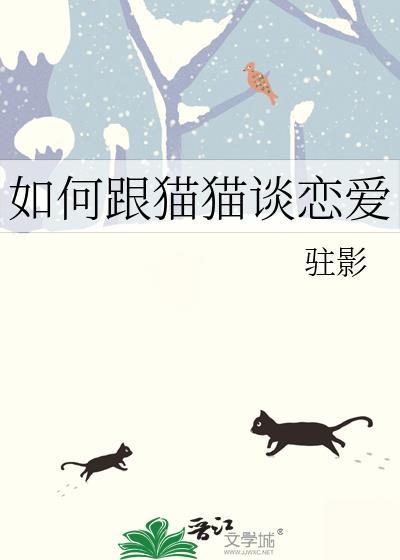 怎么和猫沟通感情