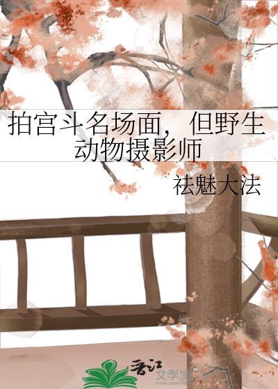 拍摄野生动物用什么镜头