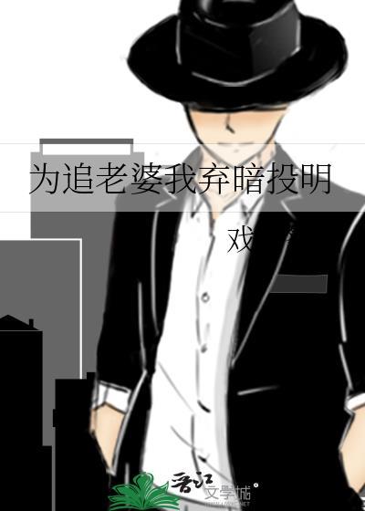 为追老婆我弃暗投明by