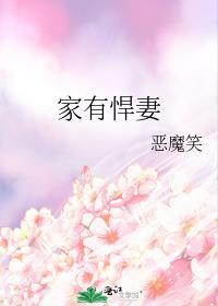 家有悍妻怎么破阅读