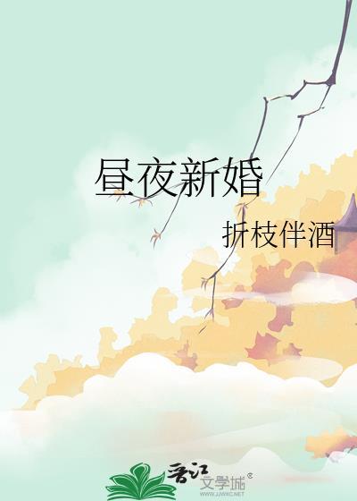 昼夜新婚折纸伴酒