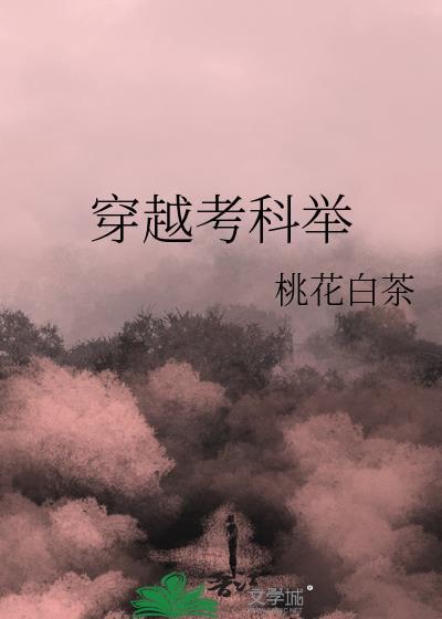 穿越考科举 ai呀呀
