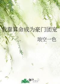 穿成哥儿了怎么办作者杼渊好看吗