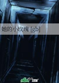 最佳搭档cp