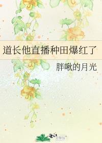 道长直播