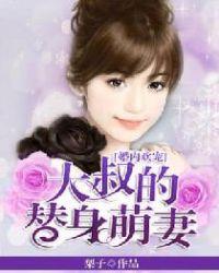 大叔宠妻文
