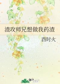 重回十六岁的花滑大魔王作者油炸糕