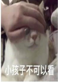 圈养一朵玫瑰全文免费阅读