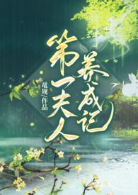 第一夫人 全文阅读