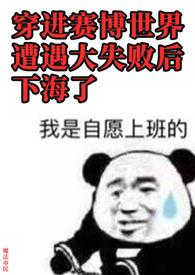 穿进赛博世界遭遇大失败后下海了(NP)魔法市民 著