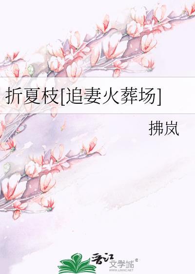 折枝是哪部