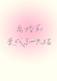 离婚前变成了一只猫百度