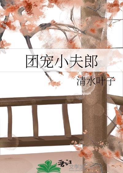 团宠小夫郎又被疯批王爷抢走了免费阅读