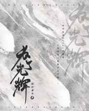 为了光辉abotxt