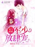 重生暖婚军少放肆三心