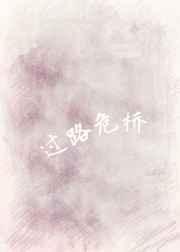 危桥改造实施方案
