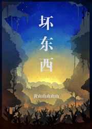 坏东西墨西柯txt