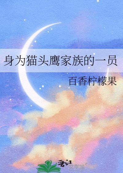 猫头鹰家族办公室