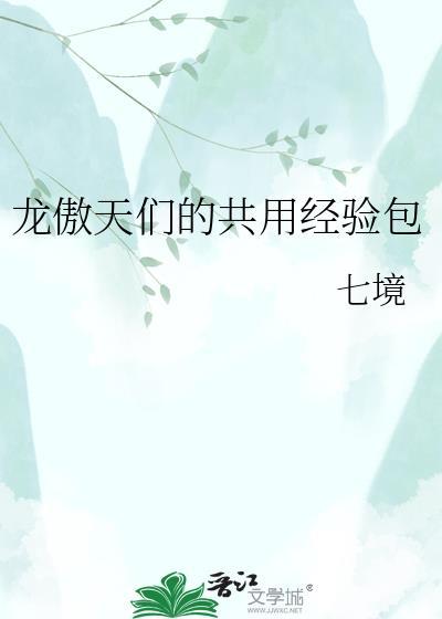 龙傲天们的共用经验包书评