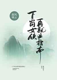 下岗女侠再就业指南 百度
