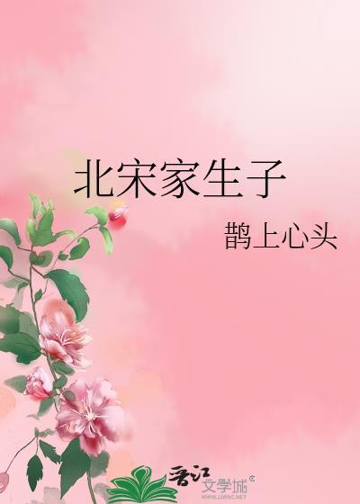 北宋家生子鹊上心头无防盗