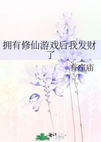 我有修仙属性板