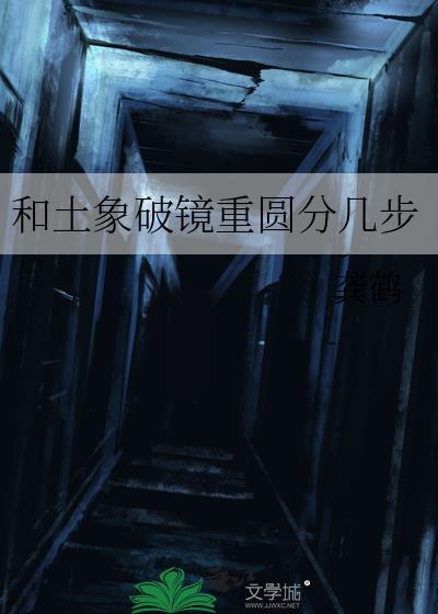 和土象破镜重圆分几步龚鹤TXT百度