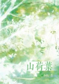 山荷叶图片