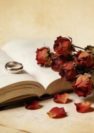 代价40公里怎么收费