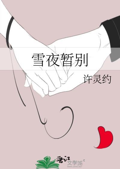 雪夜意思