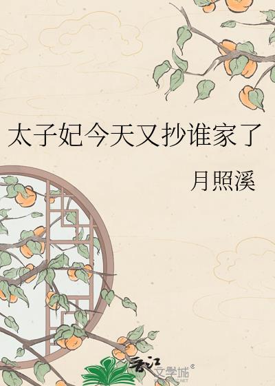 太子妃今天又抄谁家了22